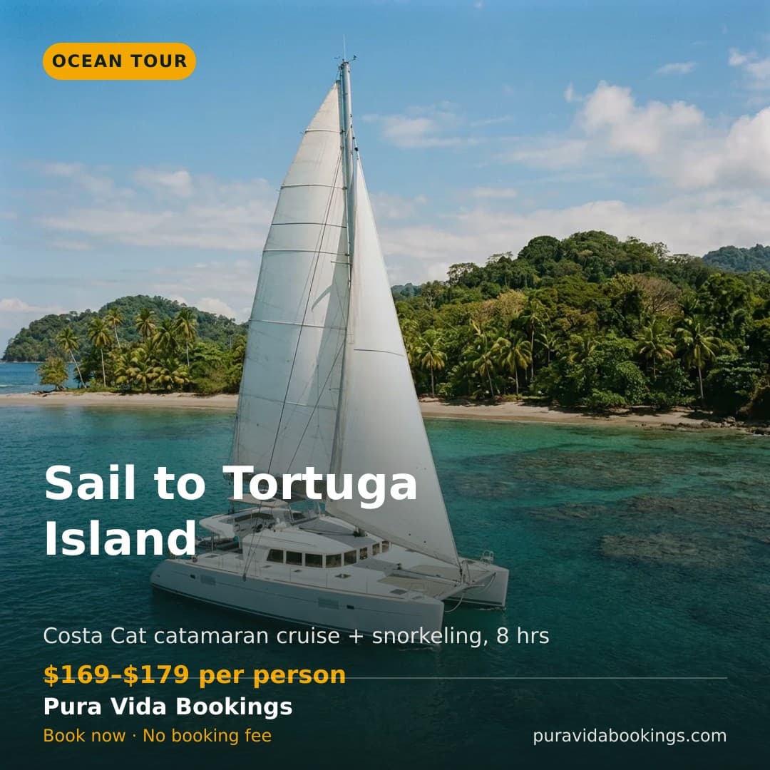 Costa Cat Catamaran Tour — Facebook and Instagram post graphic