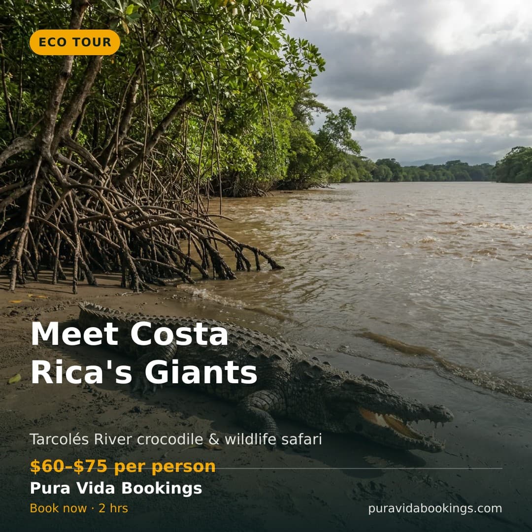 Eco Crocodile Tour — Facebook and Instagram post graphic