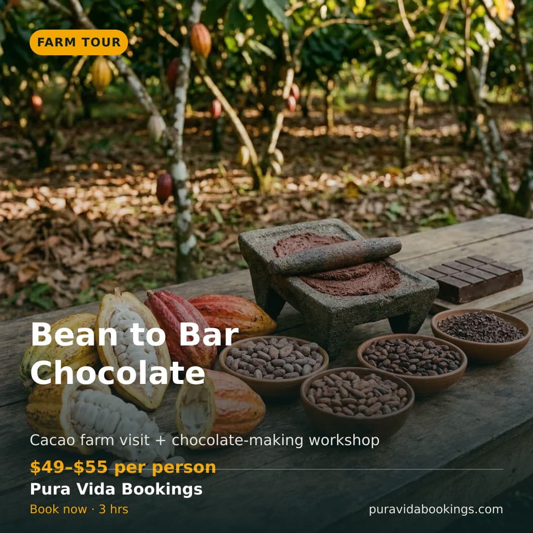 Bean-to-Bar Chocolate Tour — Facebook and Instagram post graphic