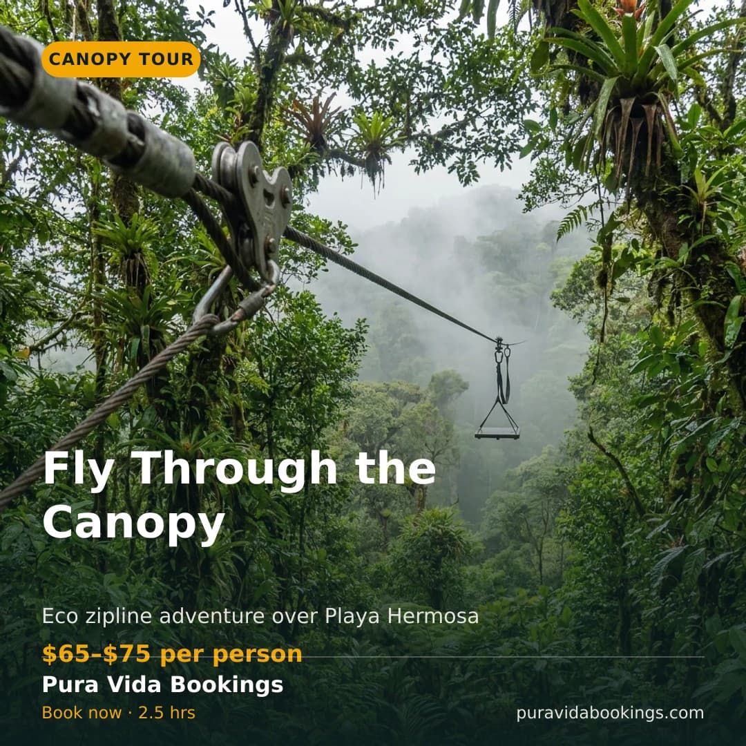 Eco Zipline Tour — Facebook and Instagram post graphic