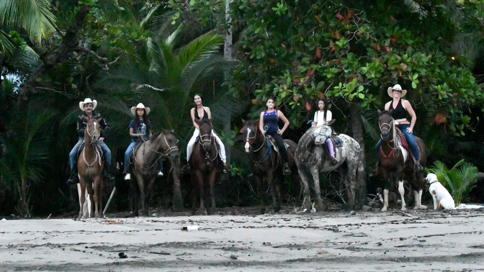 Horseback Riding Tour in Jacó, Costa Rica, photo 2